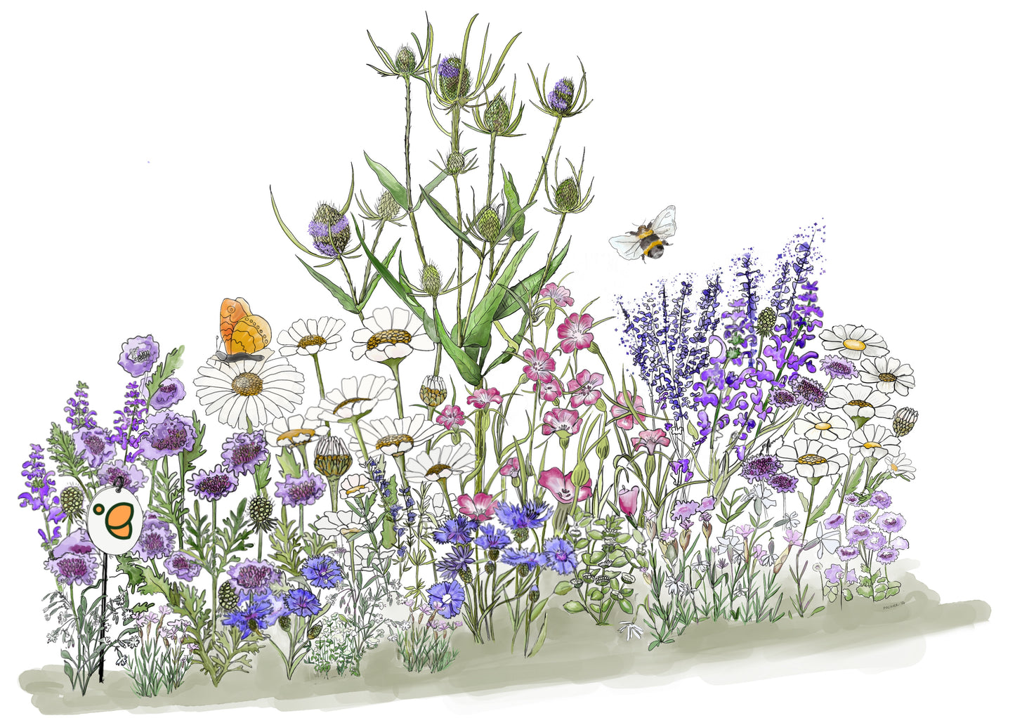 Flavia paysage jardin