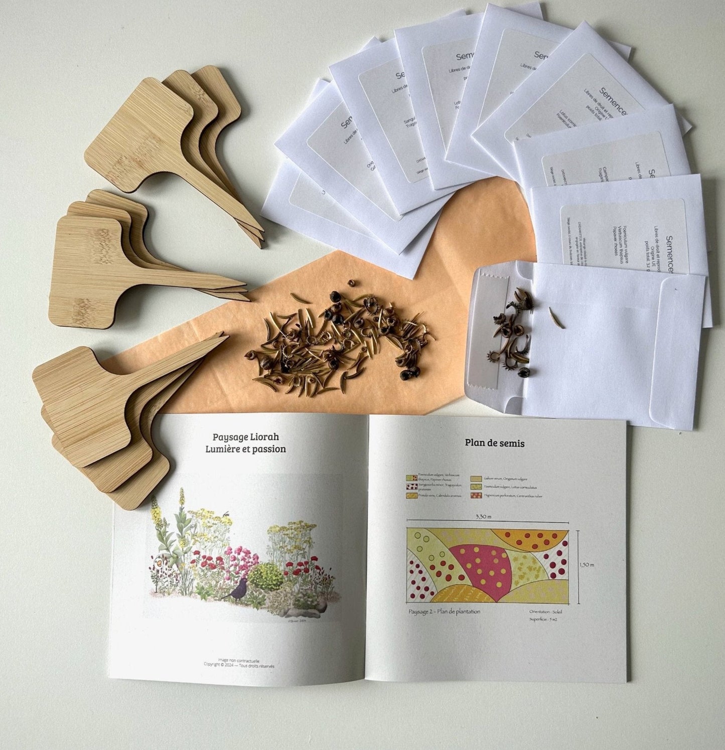 Liorah paysage jardin