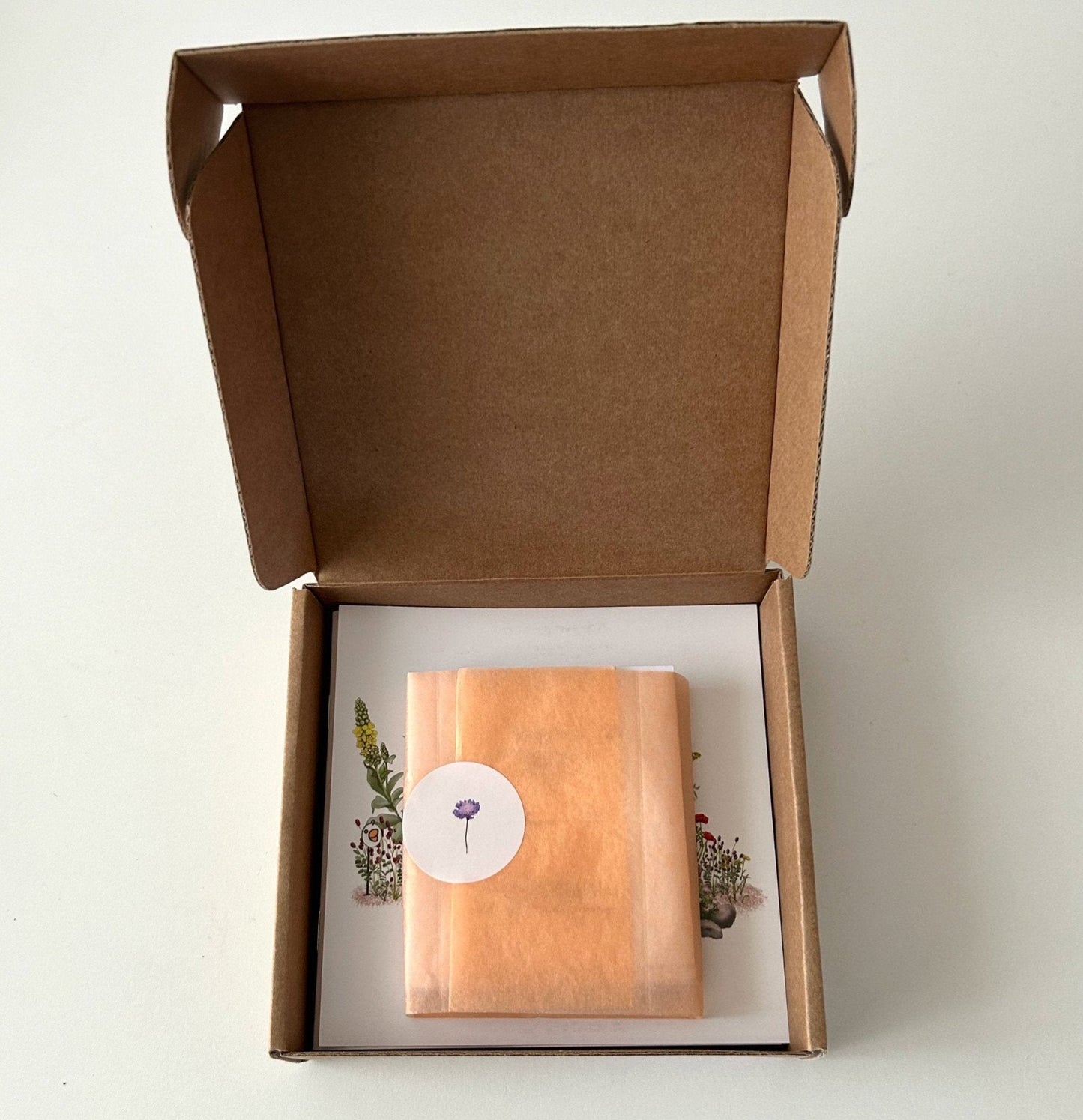 Liorah paysage jardin