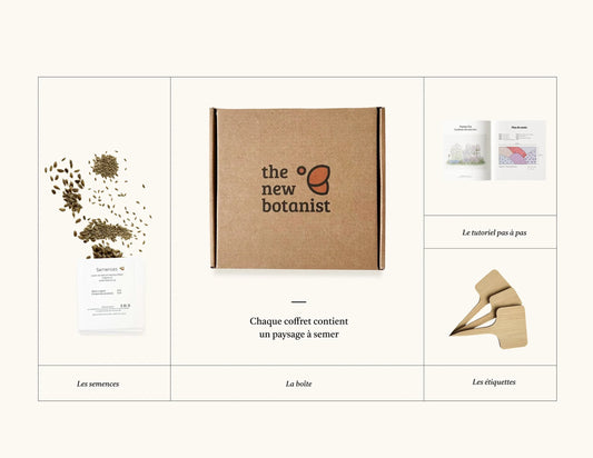 Cadeaux de Noël écolo : sublimez jardins et balcons naturellement