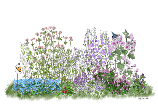 Noa paysage jardin